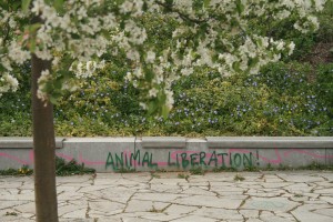 Animal Liberation 